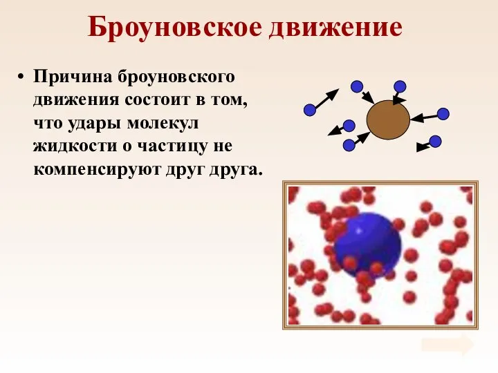 Броуновское движение Причина броуновского движения состоит в том, что удары молекул