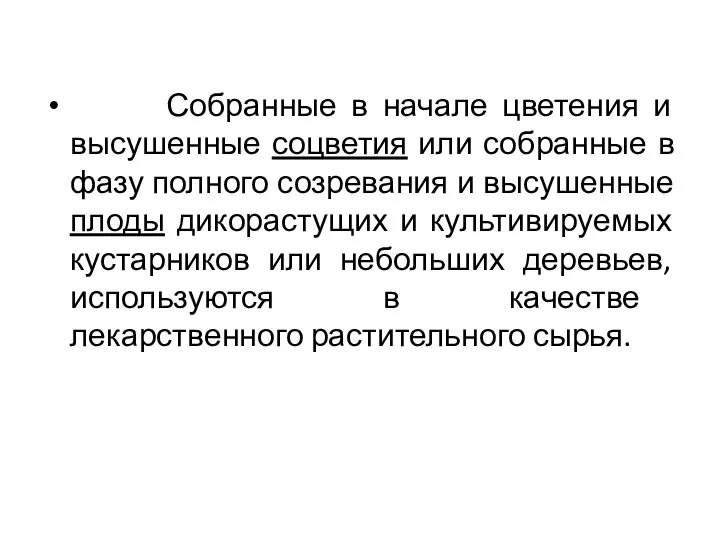 Собранные в начале цветения и высушенные соцветия или собранные в фазу