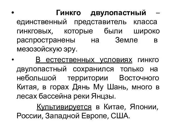 Гинкго двулопастный – единственный представитель класса гинкговых, которые были широко распространены