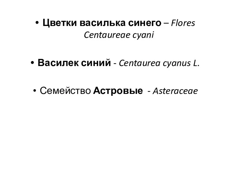 Цветки василька синего – Flores Centaureae cyani Василек синий - Centaurea