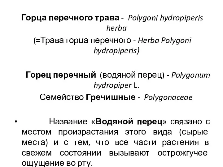 Горца перечного трава - Polygoni hydropiperis herba (=Трава горца перечного -