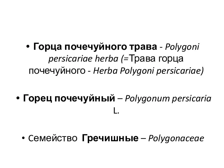 Горца почечуйного трава - Polygoni persicariae herba (=Трава горца почечуйного -