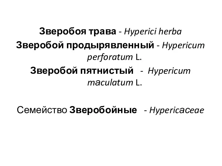 Зверобоя трава - Hyperici herba Зверобой продырявленный - Hypericum perforatum L.