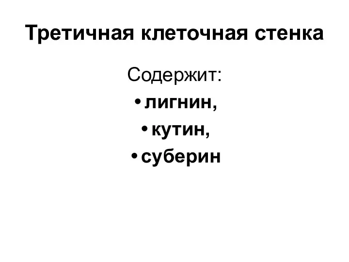 Третичная клеточная стенка Содержит: лигнин, кутин, суберин