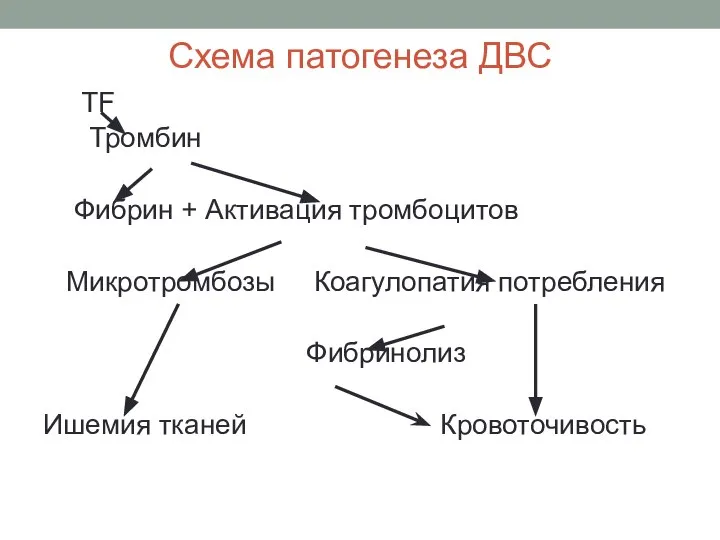 Схема патогенеза ДВС TF Тромбин Фибрин + Активация тромбоцитов Микротромбозы Коагулопатия потребления Фибринолиз Ишемия тканей Кровоточивость