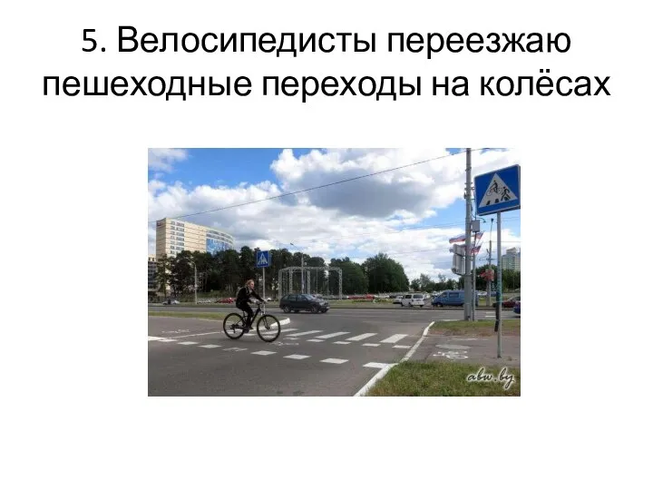 5. Велосипедисты переезжаю пешеходные переходы на колёсах