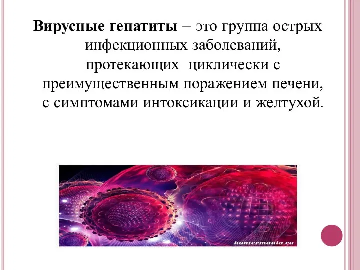 Вирусные гепатиты – это группа острых инфекционных заболеваний, протекающих циклически с