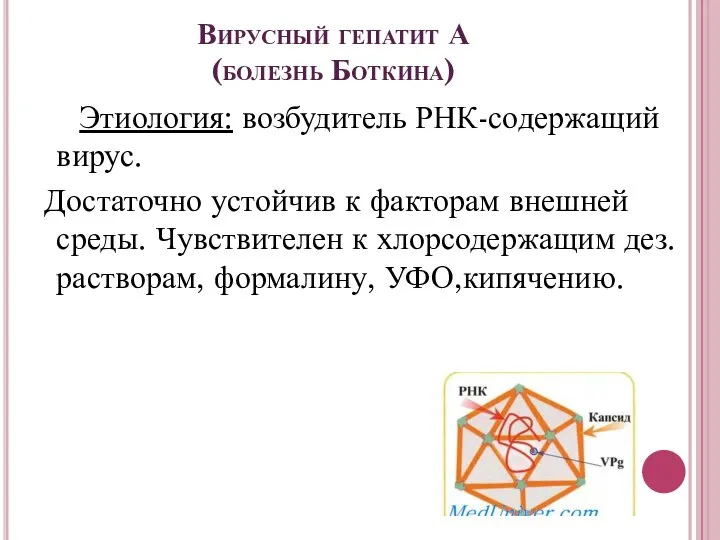 Вирусный гепатит А (болезнь Боткина) Этиология: возбудитель РНК-содержащий вирус. Достаточно устойчив