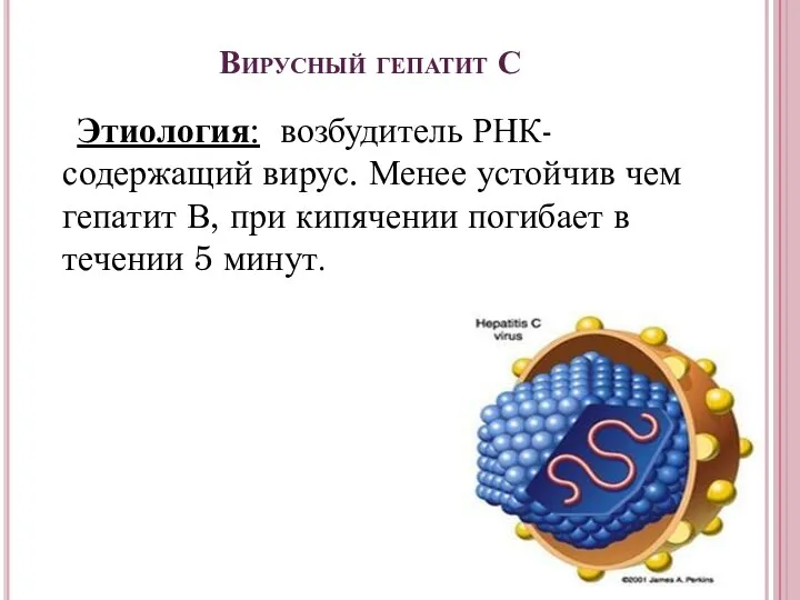 Вирусный гепатит С Этиология: возбудитель РНК-содержащий вирус. Менее устойчив чем гепатит