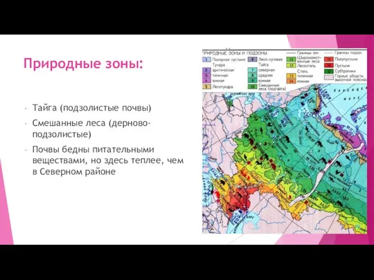 Природные зоны: Тайга (подзолистые почвы) Смешанные леса (дерново-подзолистые) Почвы бедны питательными