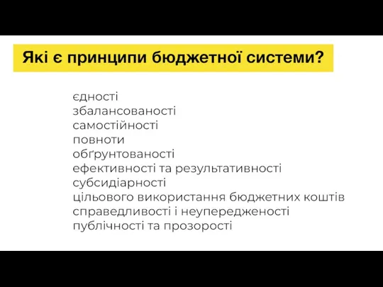 єдності збалансованості самостійності повноти обґрунтованості ефективності та результативності субсидіарності цільового використання