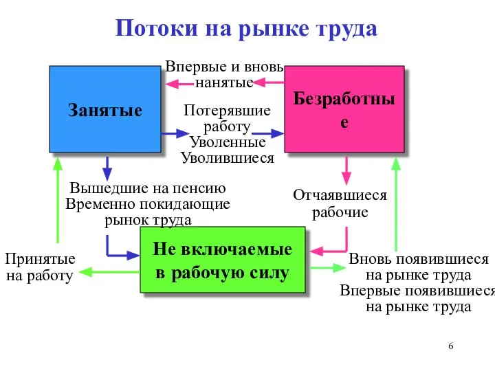 Занятые Безработные Не включаемые в рабочую силу Потоки на рынке труда