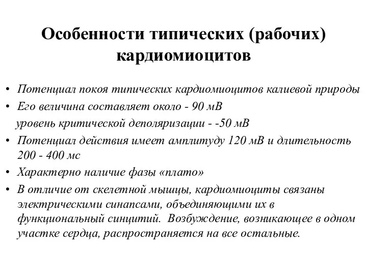 Особенности типических (рабочих) кардиомиоцитов Потенциал покоя типических кардиомиоцитов калиевой природы Его