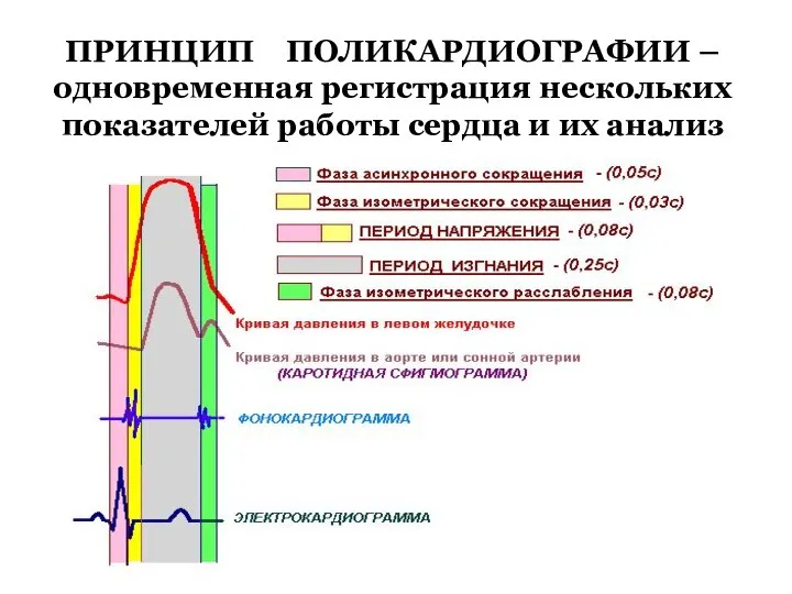 ПРИНЦИП ПОЛИКАРДИОГРАФИИ – одновременная регистрация нескольких показателей работы сердца и их анализ