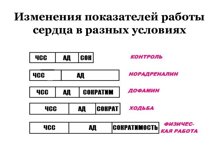 Изменения показателей работы сердца в разных условиях