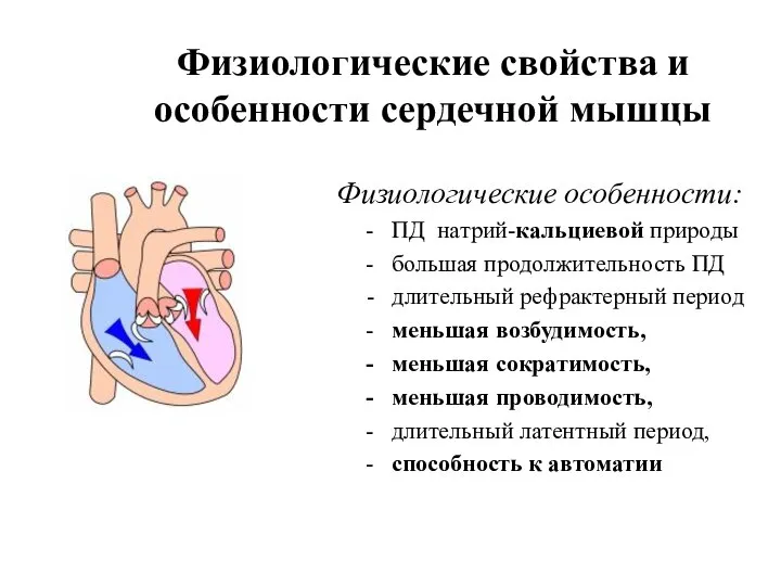 Физиологические свойства и особенности сердечной мышцы Физиологические особенности: - ПД натрий-кальциевой