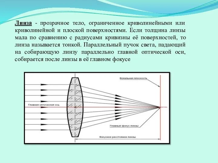 Линза - прозрачное тело, ограниченное криволинейными или криволинейной и плоской поверхностями.