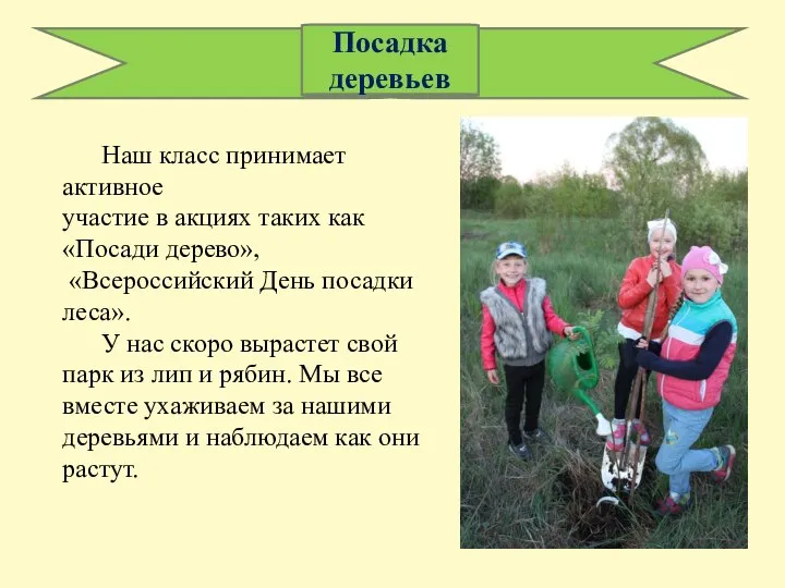 Наш класс принимает активное участие в акциях таких как «Посади дерево»,