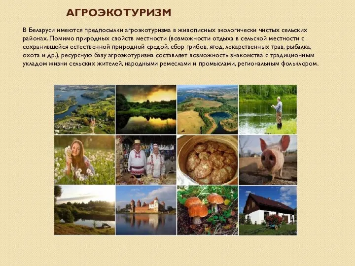 АГРОЭКОТУРИЗМ В Беларуси имеются предпосылки агроэкотуризма в живописных экологически чистых сельских