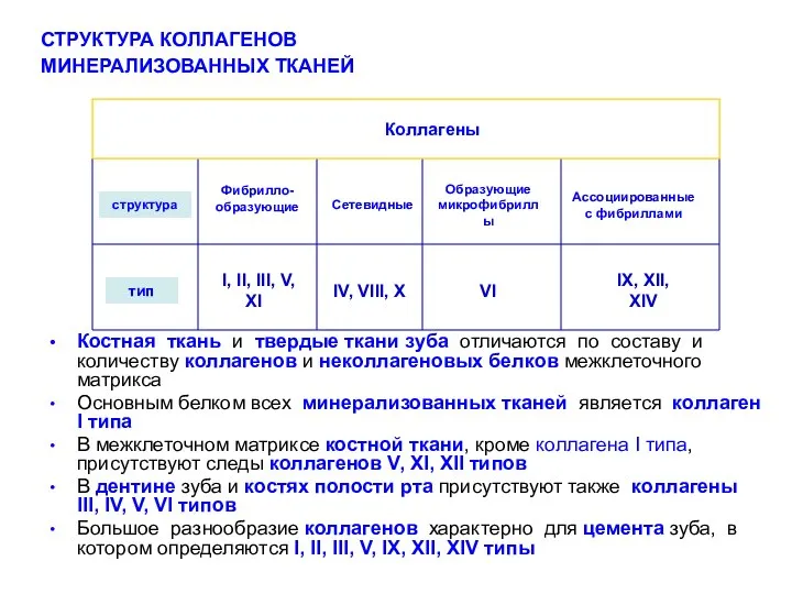 Костная ткань и твердые ткани зуба отличаются по составу и количеству