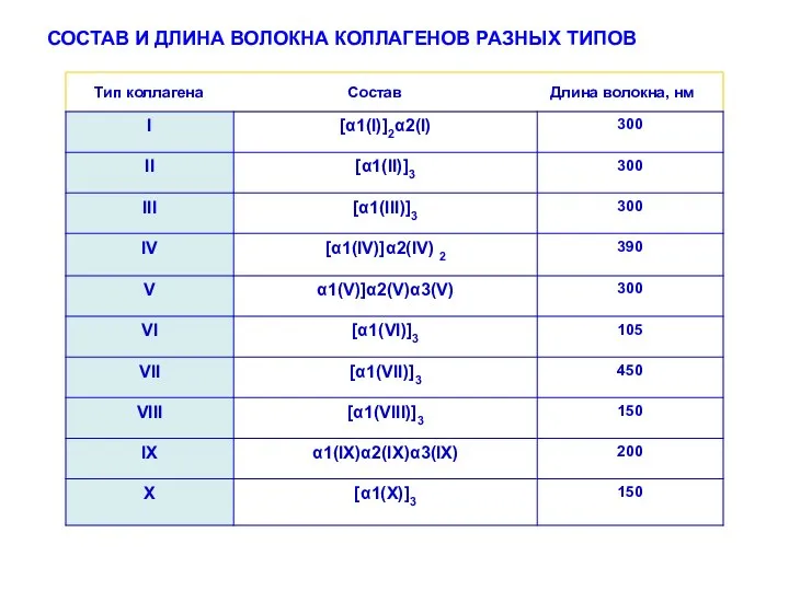 СОСТАВ И ДЛИНА ВОЛОКНА КОЛЛАГЕНОВ РАЗНЫХ ТИПОВ Тип коллагена Состав Длина волокна, нм