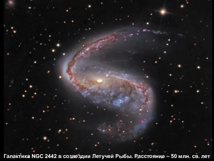 Галактика NGC 2442 в созвездии Летучей Рыбы. Расстояние – 50 млн. св. лет