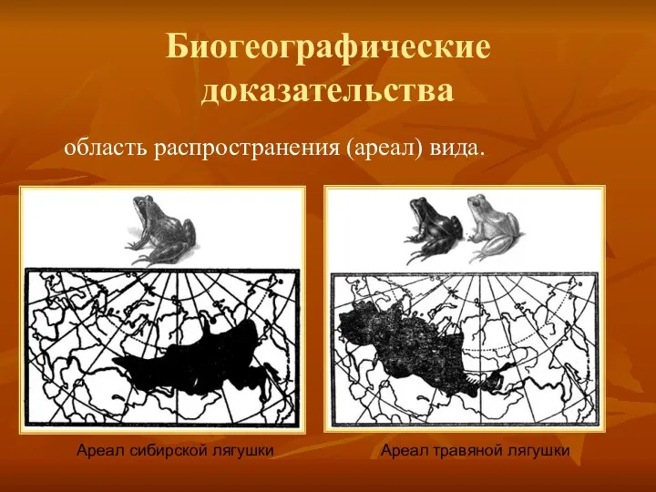 Биогеографические доказательства область распространения (ареал) вида. Ареал сибирской лягушки Ареал травяной лягушки