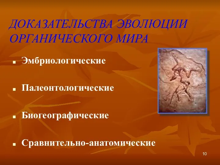 ДОКАЗАТЕЛЬСТВА ЭВОЛЮЦИИ ОРГАНИЧЕСКОГО МИРА Эмбриологические Палеонтологические Биогеографические Сравнительно-анатомические