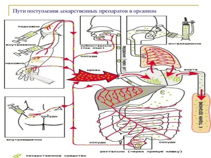 Пути поступления лекарственных препаратов в организм