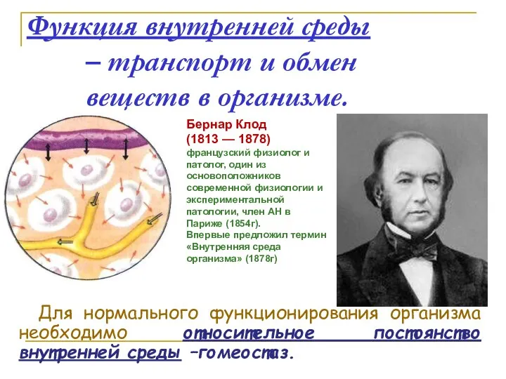 Функция внутренней среды – транспорт и обмен веществ в организме. Для