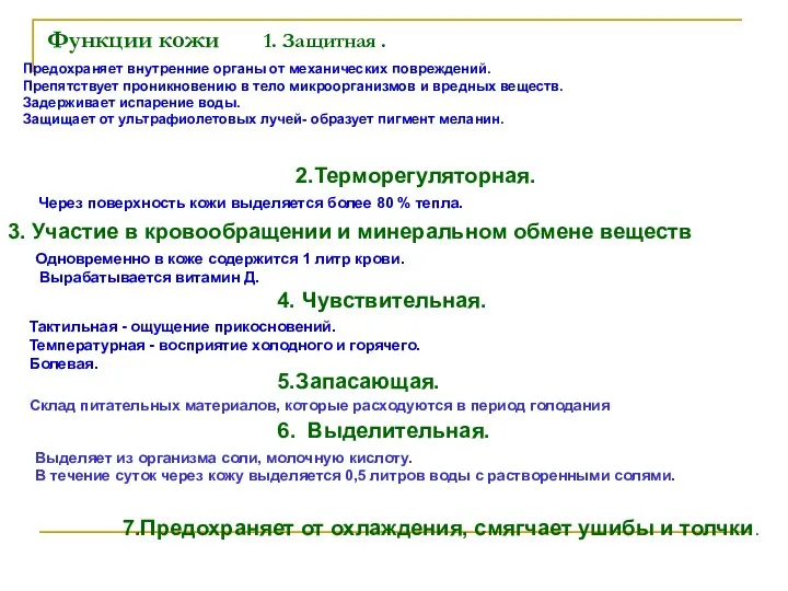 Функции кожи 1. Защитная . Предохраняет внутренние органы от механических повреждений.