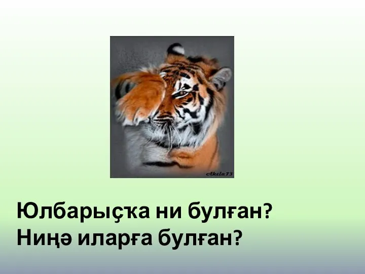 Юлбарыҫҡа ни булған? Ниңә иларға булған?