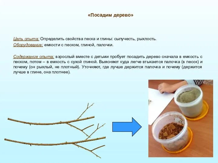 «Посадим дерево» Цель опыта: Определить свойства песка и глины: сыпучесть, рыхлость.