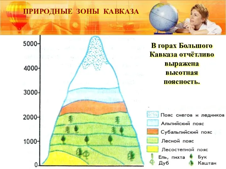 ПРИРОДНЫЕ ЗОНЫ КАВКАЗА В горах Большого Кавказа отчётливо выражена высотная поясность.