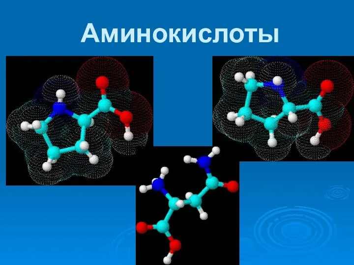 Аминокислоты