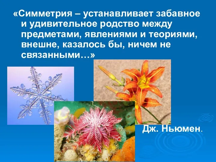 «Симметрия – устанавливает забавное и удивительное родство между предметами, явлениями и