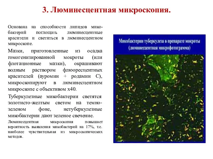 3. Люминесцентная микроскопия. Основана на способности липидов мико-бактерий поглощать люминесцентные красители
