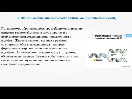 2. Формирование биологических полимеров (предбиологический) По-видимому, образовавшиеся простейшие органические вещества взаимодействовали