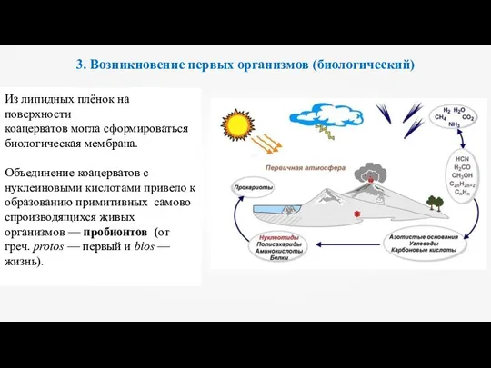 3. Возникновение первых организмов (биологический) Из липидных плёнок на поверхности коацерватов