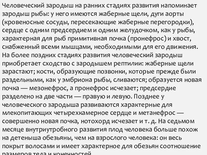 Человеческий зародыш на ранних стадиях развития напоминает зародыш рыбы: у него