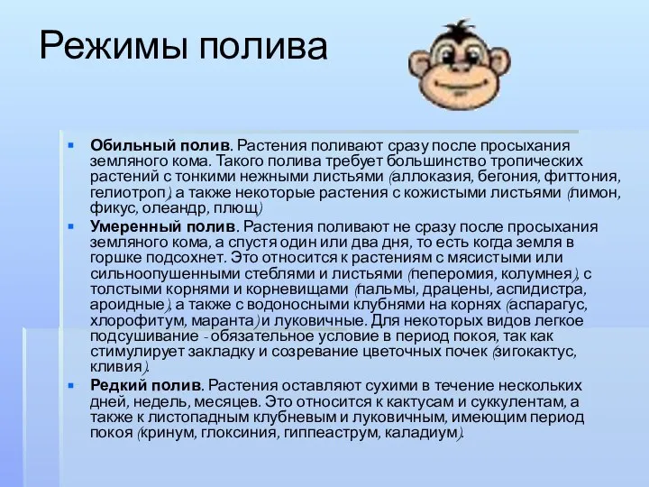 Режимы полива Обильный полив. Растения поливают сразу после просыхания земляного кома.