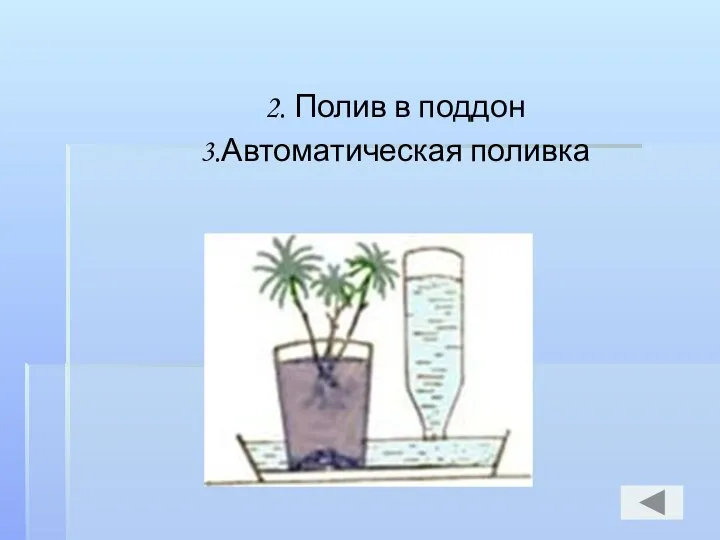 2. Полив в поддон 3.Автоматическая поливка