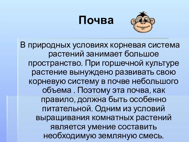 Почва В природных условиях корневая система растений занимает большое пространство. При