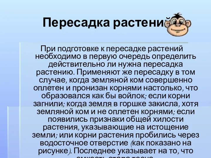 Пересадка растений При подготовке к пересадке растений необходимо в первую очередь