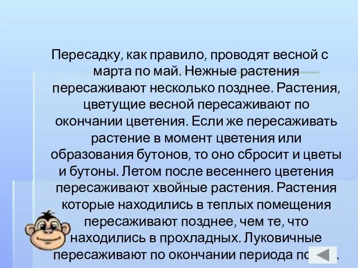 Пересадку, как правило, проводят весной с марта по май. Нежные растения