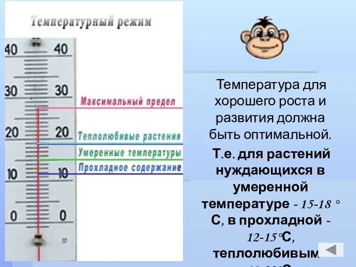 Температура для хорошего роста и развития должна быть оптимальной. Т.е. для