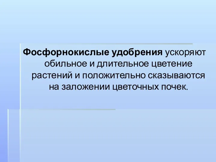 Фосфорнокислые удобрения ускоряют обильное и длительное цветение растений и положительно сказываются на заложении цветочных почек.