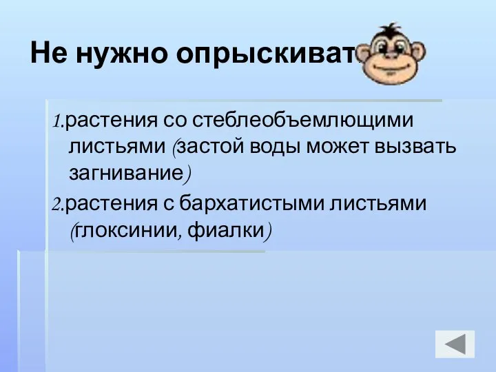 Не нужно опрыскивать: 1.растения со стеблеобъемлющими листьями (застой воды может вызвать