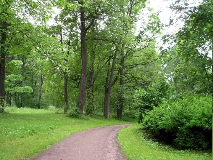 Английский пейзажный парк