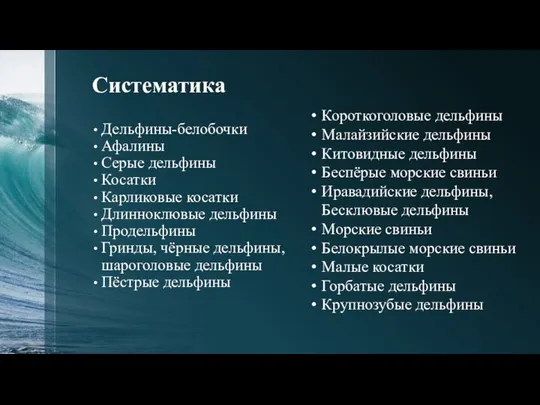 Систематика Дельфины-белобочки Афалины Серые дельфины Косатки Карликовые косатки Длинноклювые дельфины Продельфины